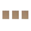 Blue Print Botanicals 3-piece Framed Canvas Wall Art Set