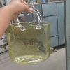 Creative Transparent glass handbag fish tank vase