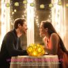 40 LEDs Rose Flower String Lights 10ft Battery Operated